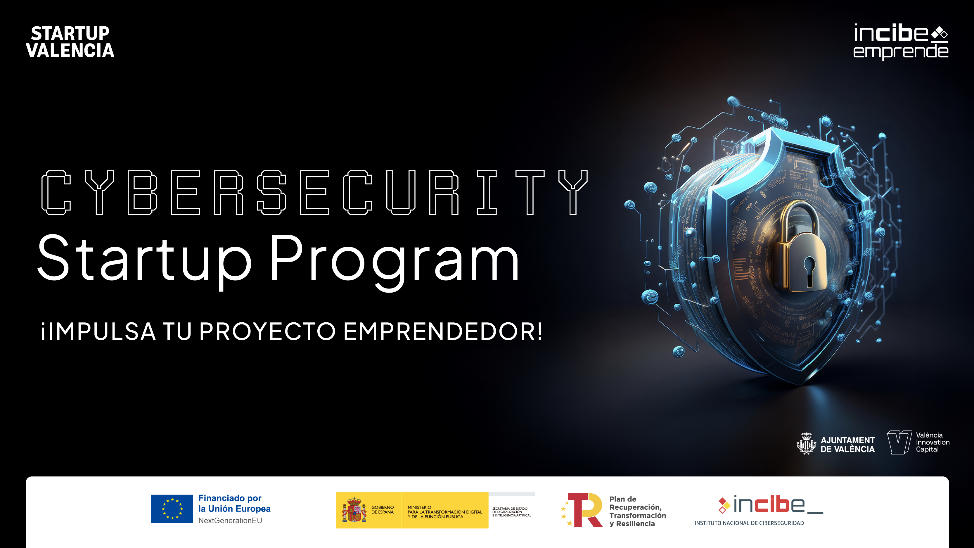 Cybersecurity Startup Program