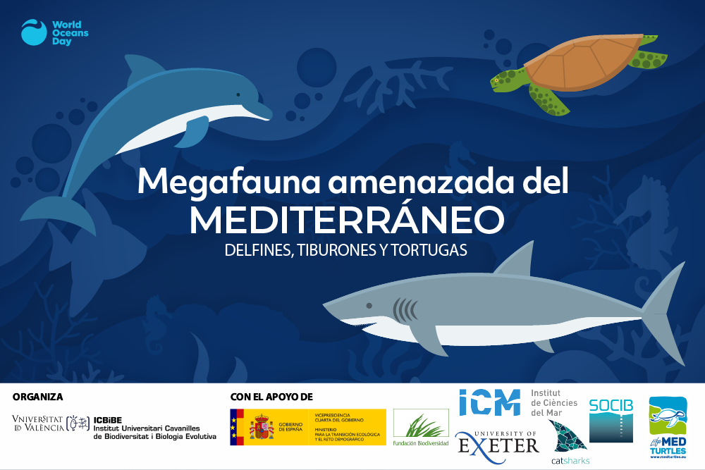 Megafauna amenazada del Mediterráneo. Delfines, tortugas y tiburones