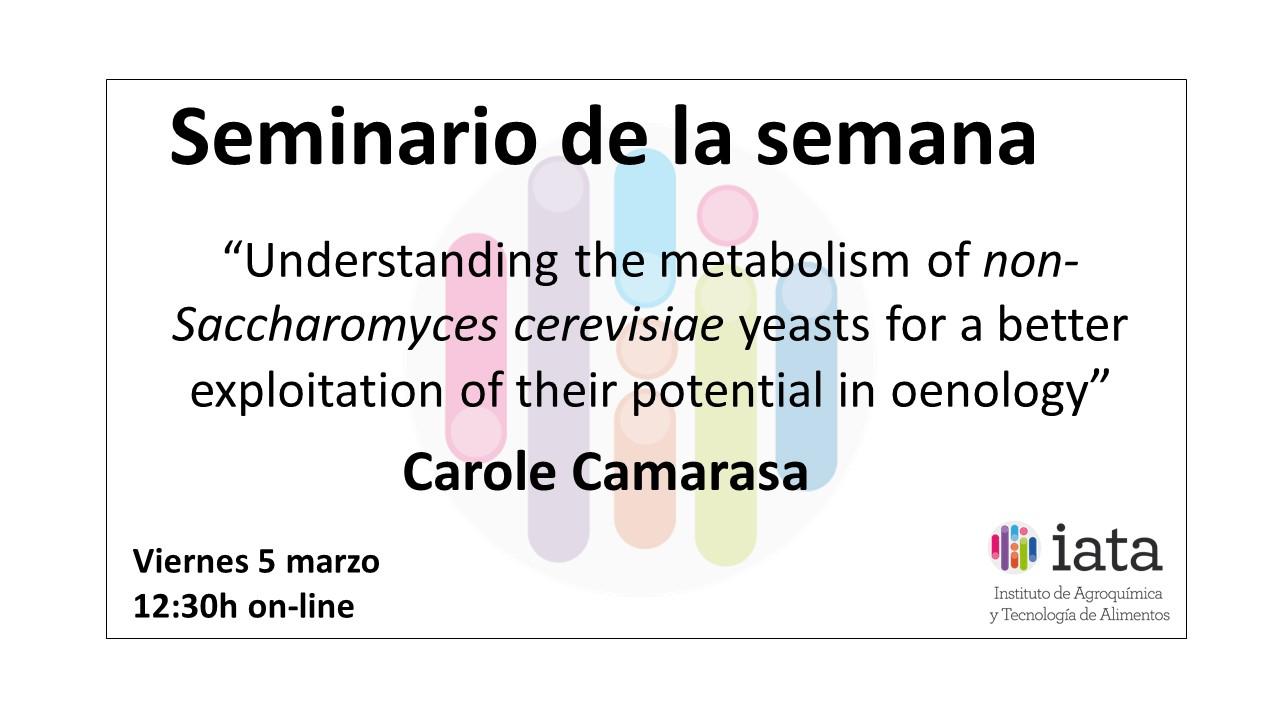 Seminari IATA-CSIC | “Understanding the metabolism of non-Saccharomyces cerevisiae yeasts for a better exploitation of their potential in oenology” 