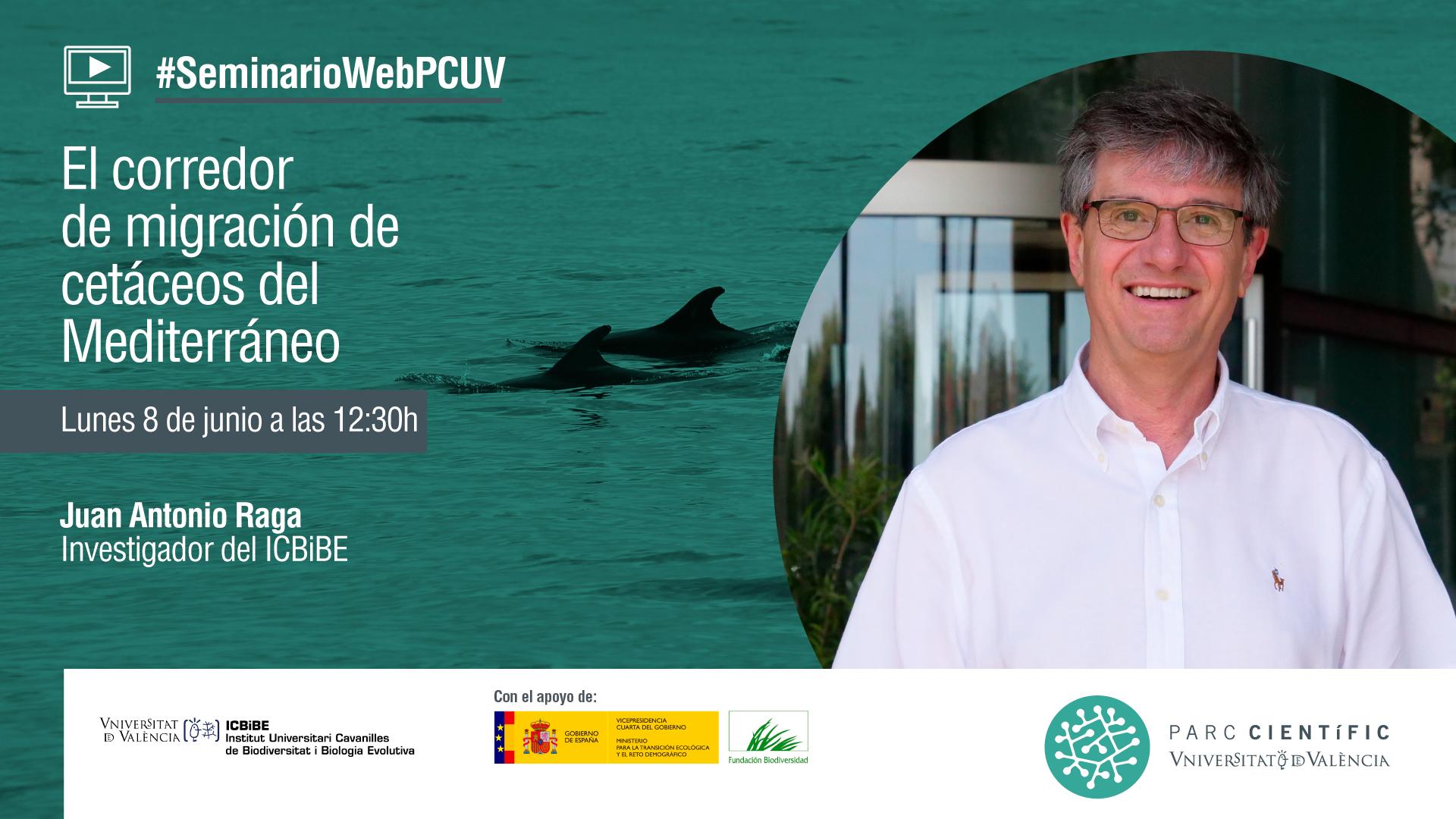 Web Seminar - The Mediterranean cetacean migration corridor