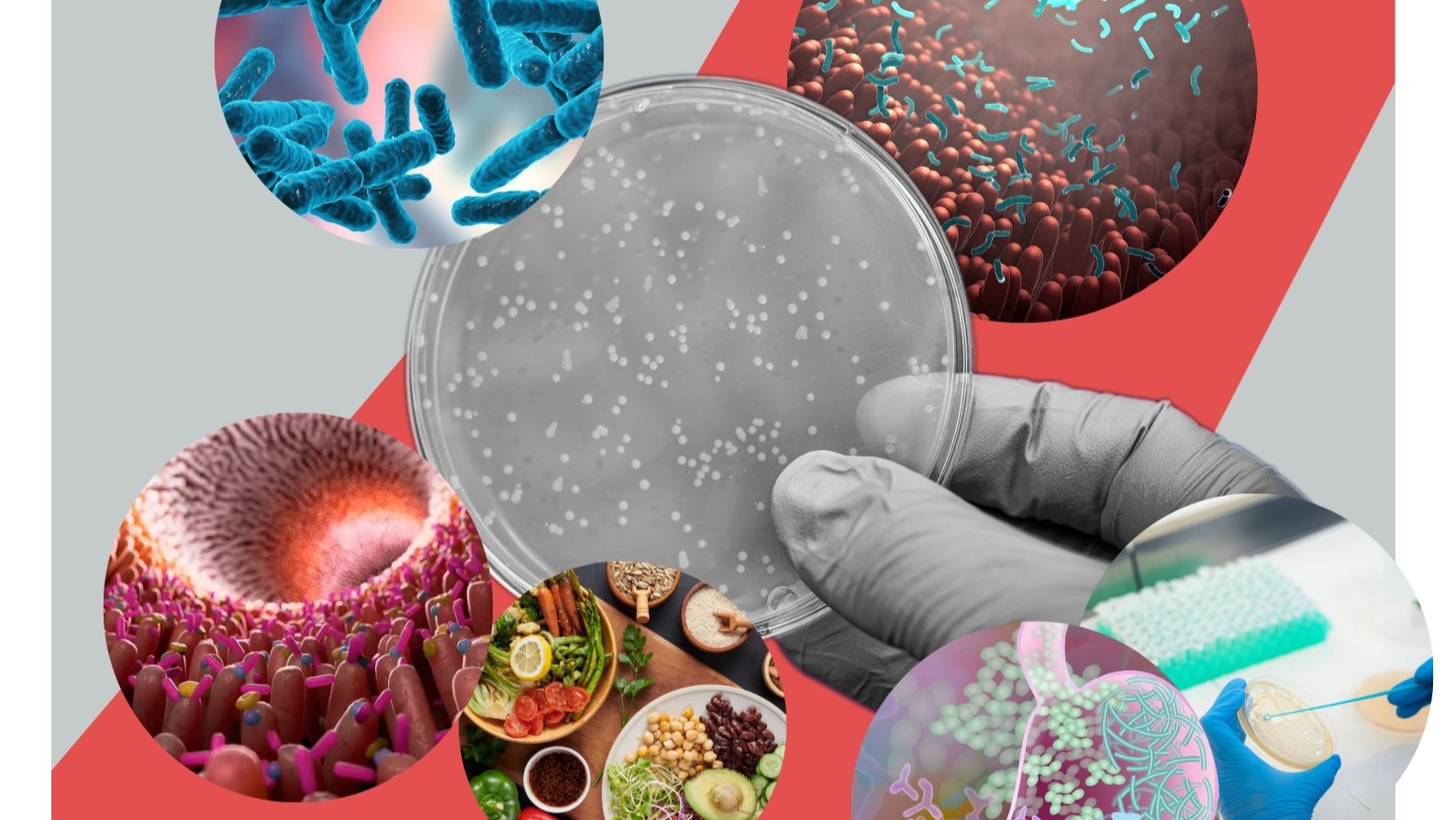 IATA | Microbiome Workshop