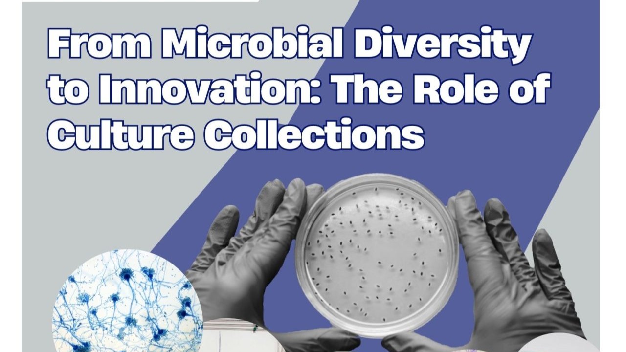 CECT e IATA | From Microbial Diversity to Innovation: The Role of Culture Collections