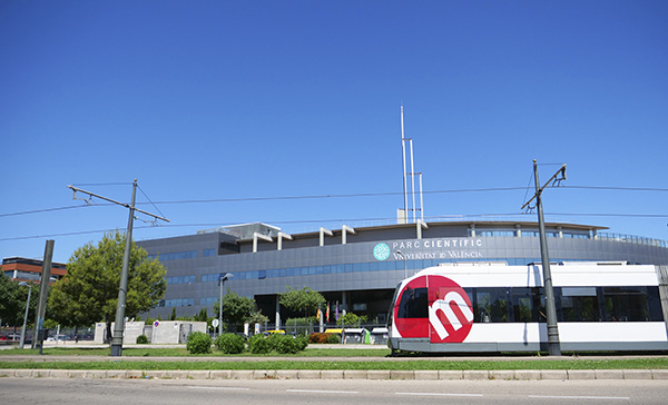 Public Transport