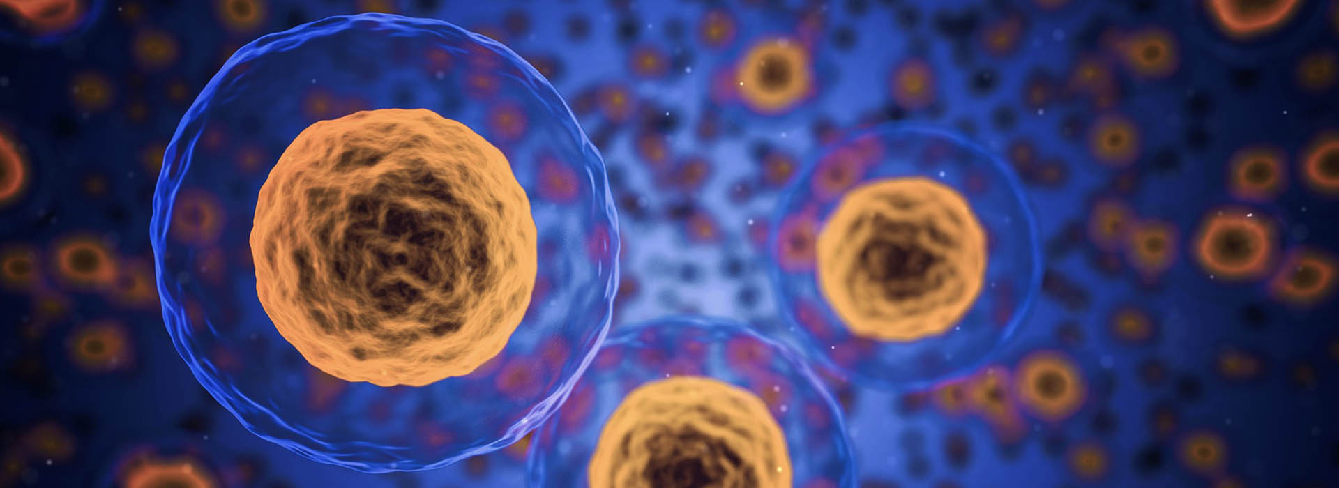 HIGHLIGHT THERAPEUTICS