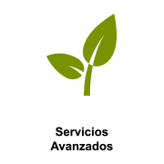 Servicios avanzados